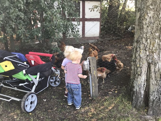 Besøg på bondegård